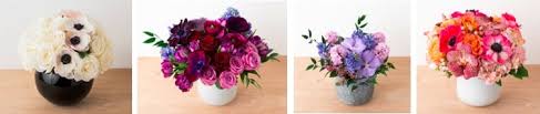 Check spelling or type a new query. The 24 Best Options For Flower Delivery In Nyc 2021