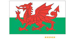 This dragon symbol continues to be used as a symbol of victory. Amazon Com Wales Flag 3m Reflective Sticker Welsh Dragon Decal Sports Outdoors
