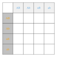 Shading in each punnett square represents matching phenotypes, assuming complete dominance and independant assortment of genes, phenotypic ratios are also presented. Lesson Explainer Dihybrid Inheritance Nagwa