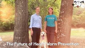 The team of health professionals at your local pharmacy can offer help and clinical advice to manage minor health. Heartworms In Dogs Symptoms And Treatments