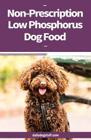 Calcium is a phosphorous binder, so dogs eating fresh foods can combat phosphorous intake if you provide plenty of calcium. 5 Best Low Phosphorus Dog Food Brands Over The Counter On Prescription Daily Dog Stuff Dog Food Recipes Prescription Dog Food Low Phosphorus Foods