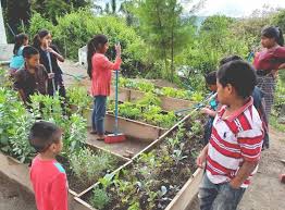 Por qué los centros educativos deberían tener un huerto escolar?