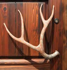 1 real antler drawer pull and two knobs. Facebook