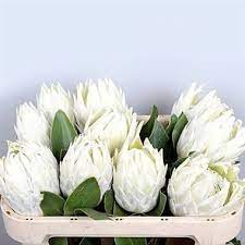 Pin On Flowers Ideas For G L Weddning