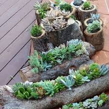 Plants absorb carbon dioxide, which can help to clean and purify the air inside your home. Interior Plant Wall Idea Posts Facebook