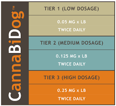 cbd dosage for dogs dosage charts cannabidog medium