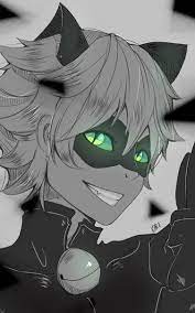 Chat Noir Miraculous Ladybug Miraculous Ladybug Miraculous Ladybug Comic Miraculous Ladybug Fan Art