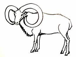 How To Draw A Ram Drawings Sketch Book Draw How to draw cartoon animal characters by paris christou. to draw a ram drawings sketch book