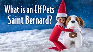 What Is An Elf Pets Saint Bernard Christmas 2018 Elf On The Shelf Ideas Elf Pets Elf On The Shelf Pet Ideas Elf