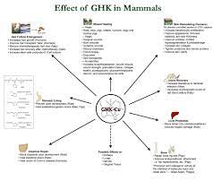 Copper Peptide Studies On Skin Renewal Wound Healing And Hair Growth Wound Healing Reverse Aging Skin Copper Peptides