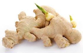 Check spelling or type a new query. The Easiest Way To Grow Ginger At Home Growing Ginger Ginger Plant Ginger Plant Care