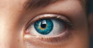 Anybody sitting in front of a computer or a tv for long hours can benefit immensely from practicing these yoga. 8 Powerful Yoga Exercise For Your Eyes Yoga For Eyes The Art Of Living India