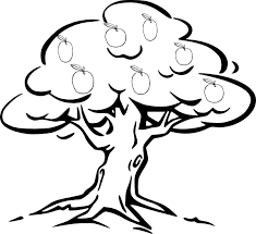 8 things to do for your fruit trees this fall. Drawing Apple Tree 163779 Nature Printable Coloring Pages