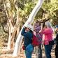 Beginner Bird Walk event image