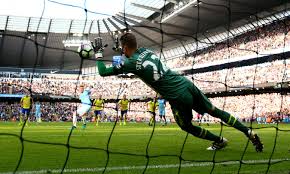 The website contains a statistic about the performance data of the player. Penalty Hero Stekelenburg Joins Elite Club