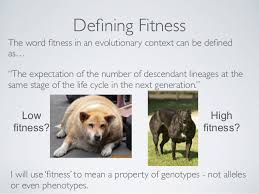 Evolutionary Fitness Liberal Dictionary