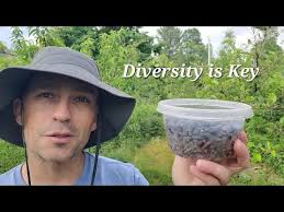 Diversity is key: an early June food forest walk-around.