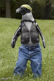 Pin By Alice Chambliss On Cool Photos Animal Dress Up Funny Animals Funny Animals With Captions