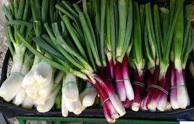 These are leafy vegetables that can handle a bit of shade. Top 5 Green Onion Benefits And How To Grow