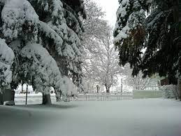 Pin On Homes Cottages And Fun Tree Houses