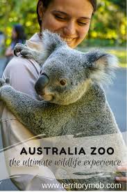 Australia Zoo The Ultimate Wildlife Experience Aussie Mob Australia Zoo Travel Destinations Australia