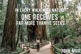 10 John Muir Quotes To Inspire You To Take A Muir Woods Tour John Muir Quotes Outdoor Quotes Nature Quotes