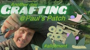 Another Day Grafting Paul's Patch Vlog Ep 6 1 #myallotment #allotment