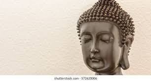 13+ Thousand Hong Mai Royalty-Free Images, Stock Photos & Pictures