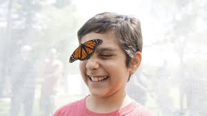 Butterfly woman of West Point looks to expand exhibitions across the region 