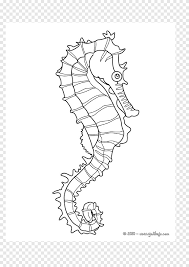 And you can freely use images for your personal blog! Mister Seahorse Coloring Book Child Seahorse Horse Child Png Pngegg