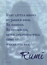 Very Little Grows On Jagged Rock Be Ground Be Crumbled So Wildflowers Will Come Up Where You Are Rumi Rumi Quotes Rumi Rumi Poetry