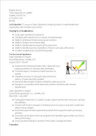 sales operations analyst resume