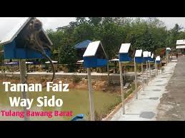 Taman agro wisata tubaba kab. Taman Faiz Way Sido Tulang Bawang Barat Youtube
