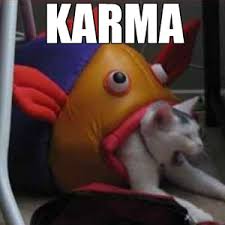 Alternatively, drizzle tuna juice over your cat's regular food. Le Fish Is Eating Le Cat You Can T Explain That By Frenchboy Meme Center
