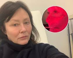 Shannen Doherty Gets Emotional After Receiving Standing Ovation From Fans  At '90s Con Amid Ongoing Cancer Battle