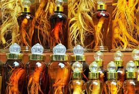 Jauh sebelum obat kuat diciptakan oleh dunia medis, masyarakat kuno telah menggunakan obat kuat herbal yang berasal dari tanaman, untuk meningkatkan keperkasaan pria di ranjang. Ginseng Bikin Tahan Lama Reps Indonesia Fitness Healthy Lifestyle
