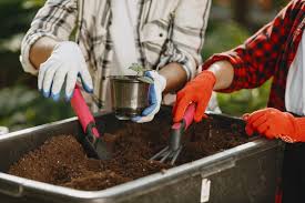 Check spelling or type a new query. 7 Ways To Use Coffee Grounds In Your Garden Fertilize Improve Soil