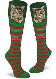 This comical choice creates the illusion that your cat is a miniature santa claus, complete with arms and legs while framing that cute cat face in a santa hoodie. Christmas Cat Socks Kitten In A Stocking Cute Knee Socks Cute But Crazy Socks