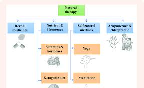 Natural Epilepsy Treatment Options Download Scientific Diagram
