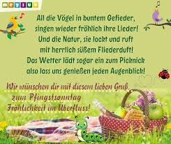 We did not find results for: Pfingstgrusse Schone Bilder Spruche Frohe Pfingsten