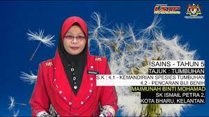 It is also the name of the territory (jajahan) or district in which kota bharu city is situated. Sains Tahun 5 S K 4 1 Kemandirian Spesis Tumbuhan 4 2 Pencaran Biji Benih Youtube