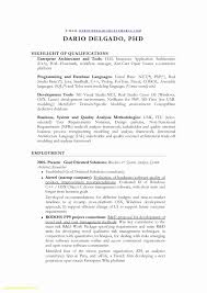 Executive Resume Templates Best Of 20 Executive Hybrid Resume ...