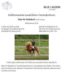 Es produïen productes de llet fermentada com l'skyr o el filmjölk, així com mantega i formatge. Mynd Skyr Jpg Landssamband Hestamannafelaga