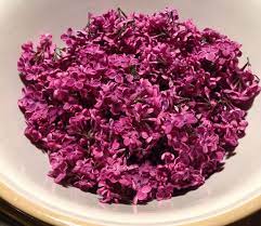 Lilac Cordial Cordial Recipe Lilac Wild Edibles