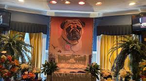 Maybe you would like to learn more about one of these? Temetes Nlc