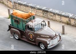 Image result for Malcab Brown 1955 Truck