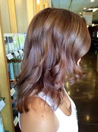 You can see a gallery of hair color swatches at the bottom below. Warm Chestnut Brown Hair Color Novocom Top