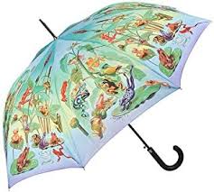 Von Lilienfeld 37 90 5 0 Von 5 Sternen Regenschirm Regenschirm Frosch Stockschirm