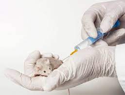 Is there any animal testing on philosophy products? Is Philosophy Cruelty Free They Re Owned By Coty