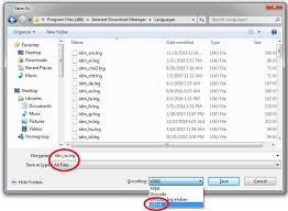 (free download, about 10 mb). Internet Download Manager Translation